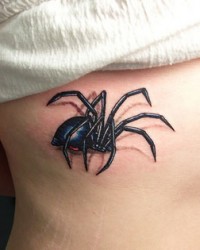 3d de uma aranha na costela, uma viúva negra