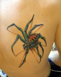 Tatoo de uma aranha 3d nas costas