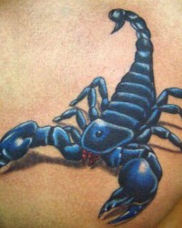 Tatuagem 3d de uma escorpião.