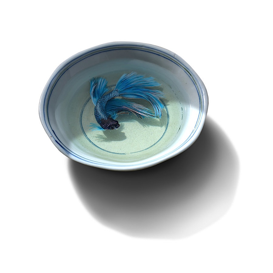 Keng Lye e suas pinturas 3d feitas em pratos e vasilhas (7)