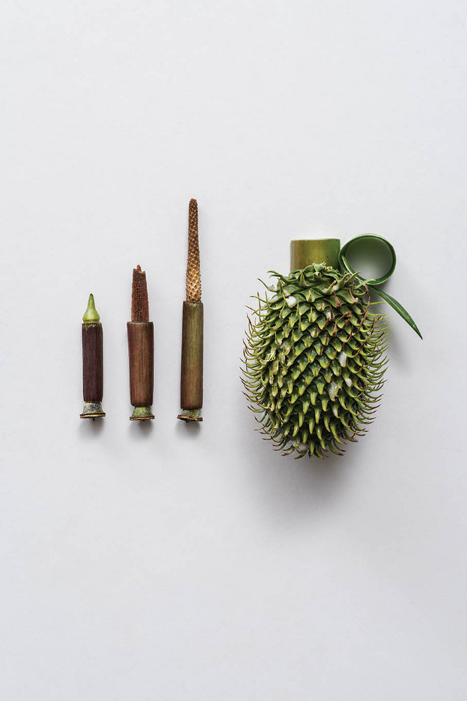 Sonia Rentsch e suas esculturas de armas utilizando elementos da natureza, blog de design bons tutoriais (5)