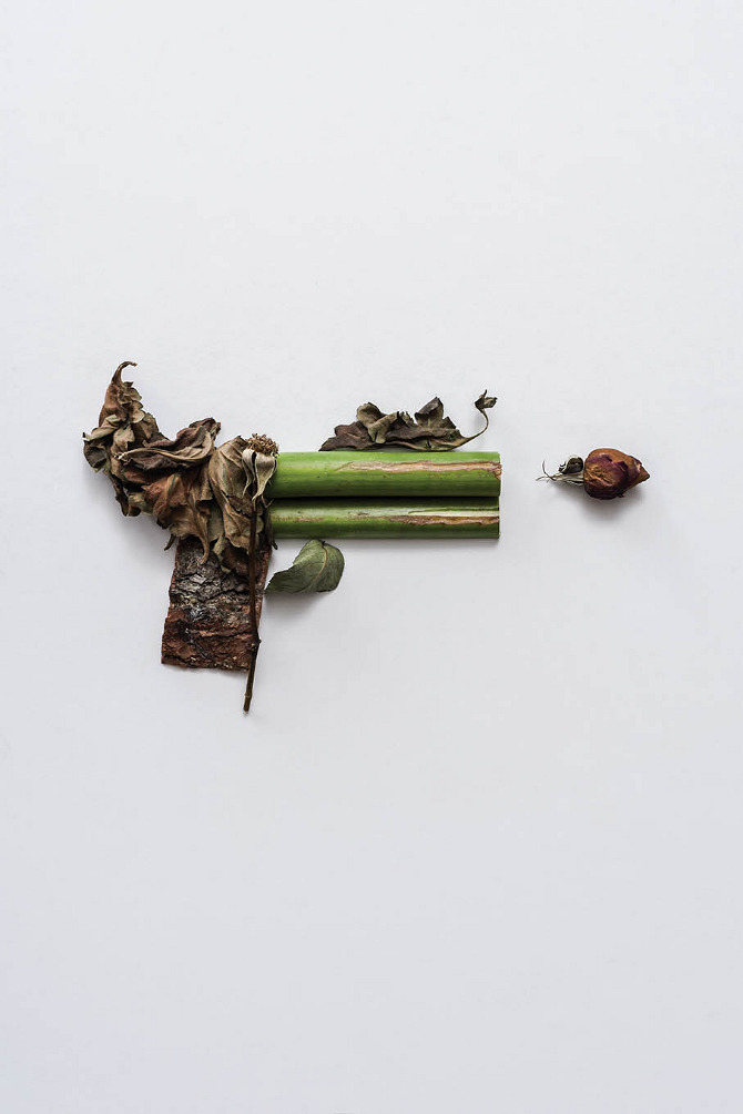 Sonia Rentsch e suas esculturas de armas utilizando elementos da natureza, blog de design bons tutoriais (4)