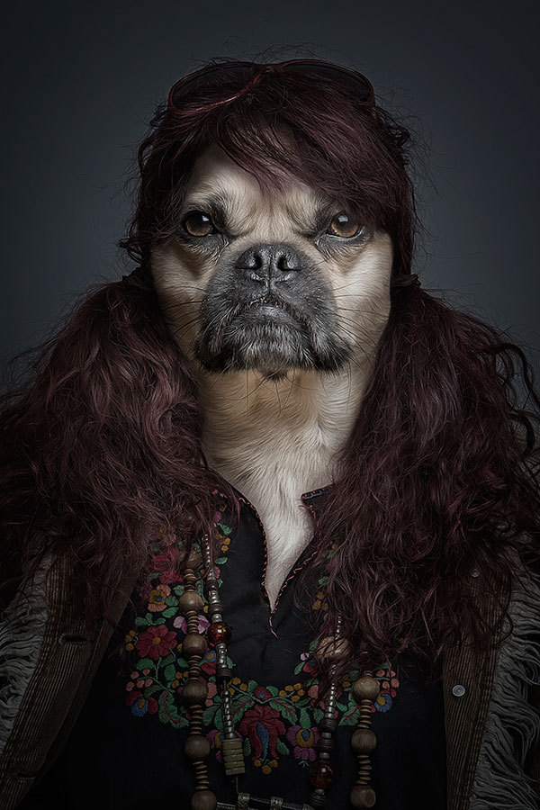 Underdog - Projeto em que o fotógrafo coloca cães com roupas (4)