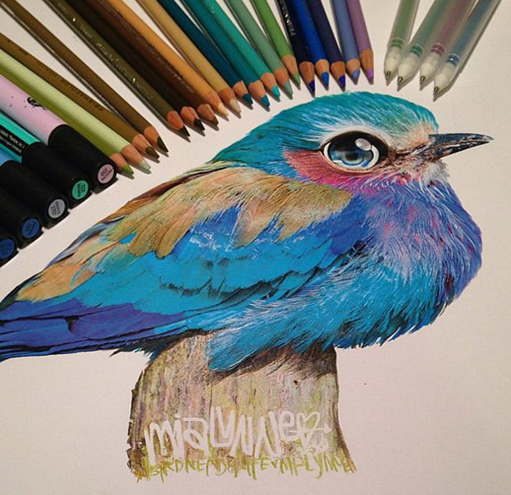 Desenhos feitos com lápis de cor, maravilhosos e fantásticos de Karla Mialynne (3)
