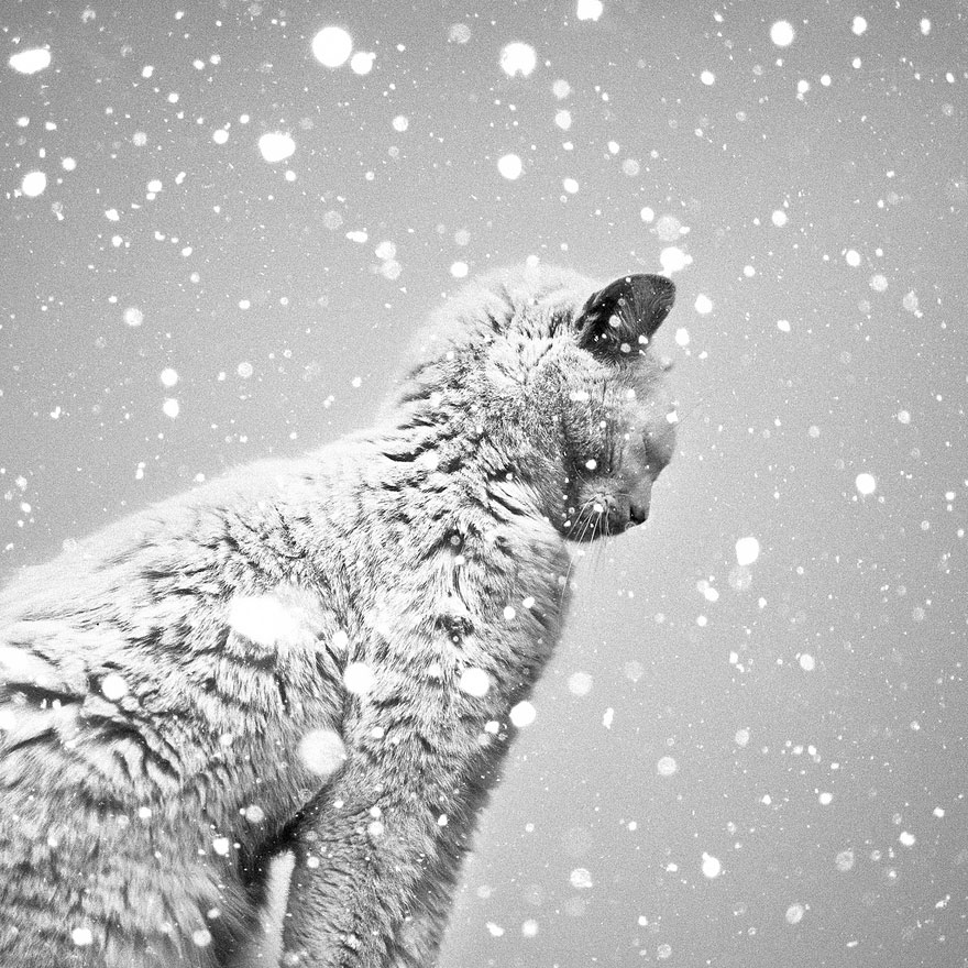 Fotografias Cativantes feitas em preto e branco de Benoit Courti (7)