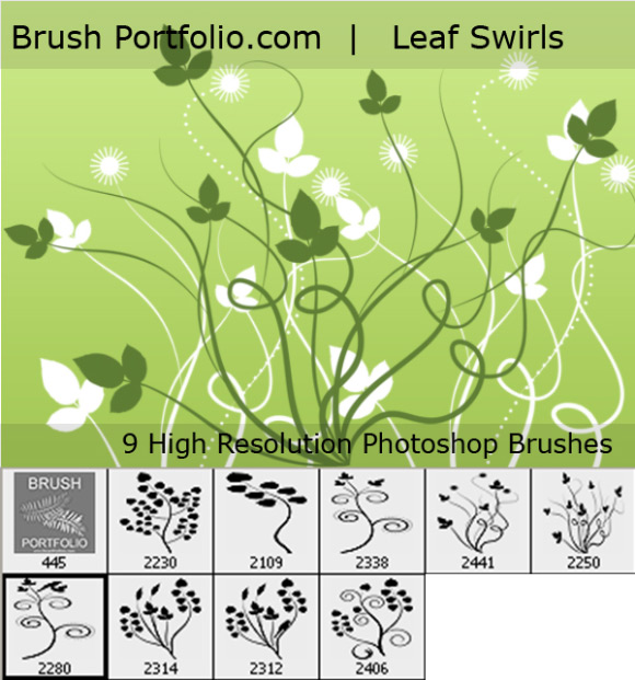 coleção de brushes de florais para baixar grátis (2)