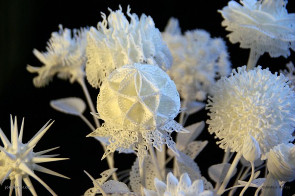 Flores criativas impressas em impressoras 3D (9)