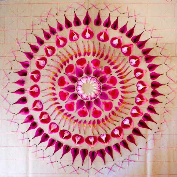 Mandalas feitas com flores e plantas por Kathy Klein (15)