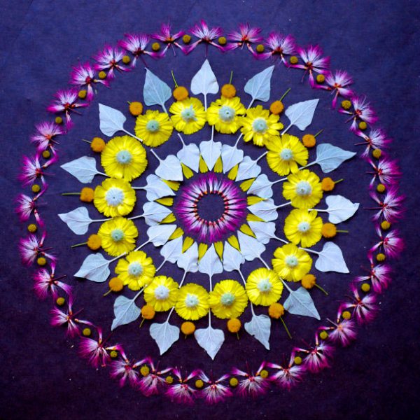 Mandalas feitas com flores e plantas por Kathy Klein (4)