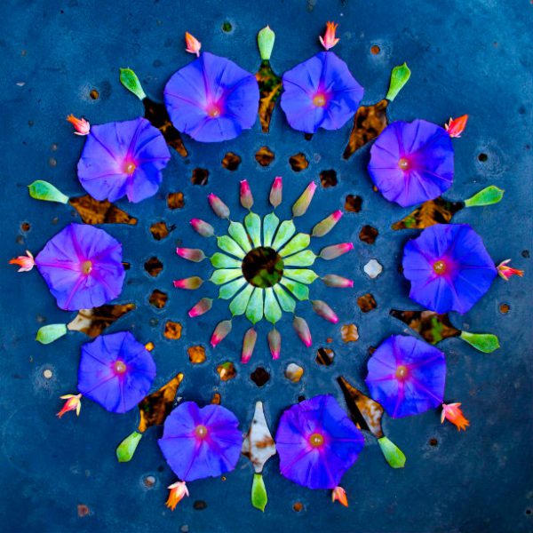 Mandalas feitas com flores e plantas por Kathy Klein (13)