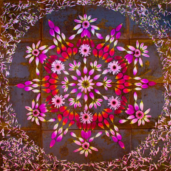 Mandalas feitas com flores e plantas por Kathy Klein (10)