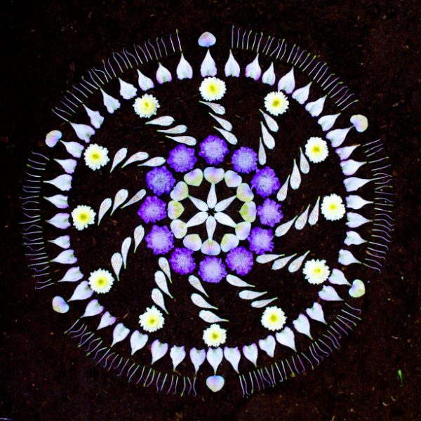 Mandalas feitas com flores e plantas por Kathy Klein (7)